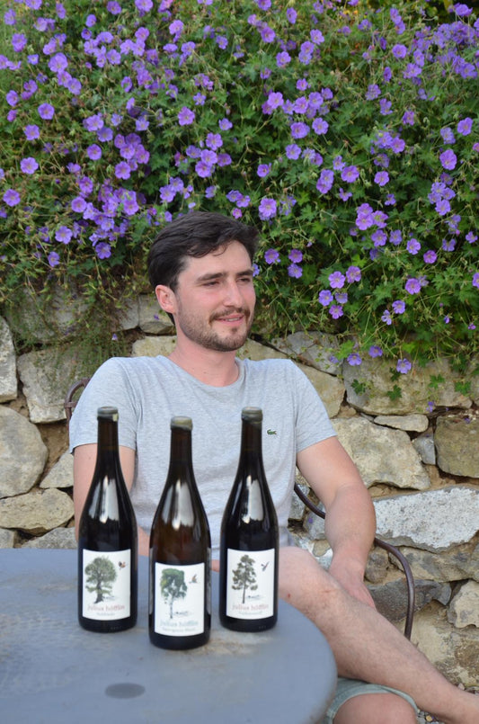 Julius Höfflin Tasting - JustGrapes - 